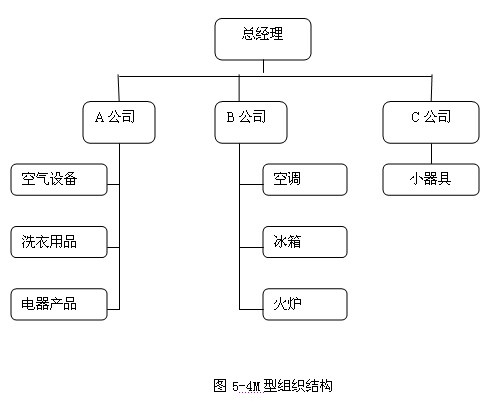 2012年注会《风险管理》辅导:组织结构(四)